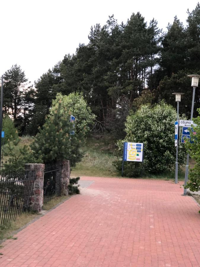 Studio Modern 斯文托伊 外观 照片